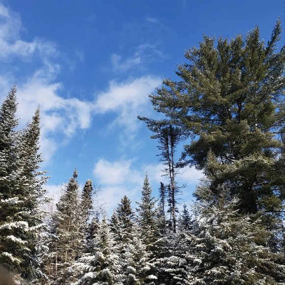 Meet your Posher, Kelly - Picture 4 of 9